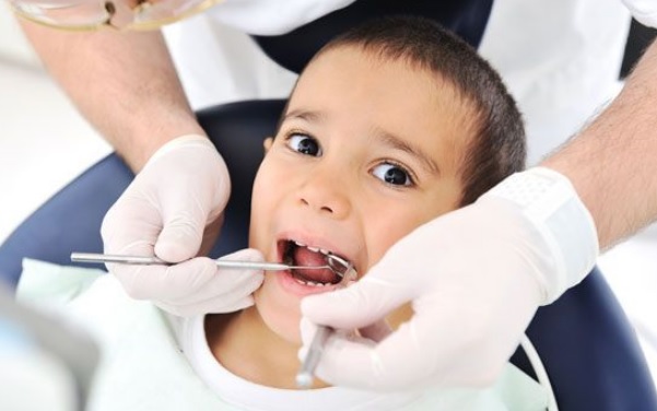 Pediatric Dentist